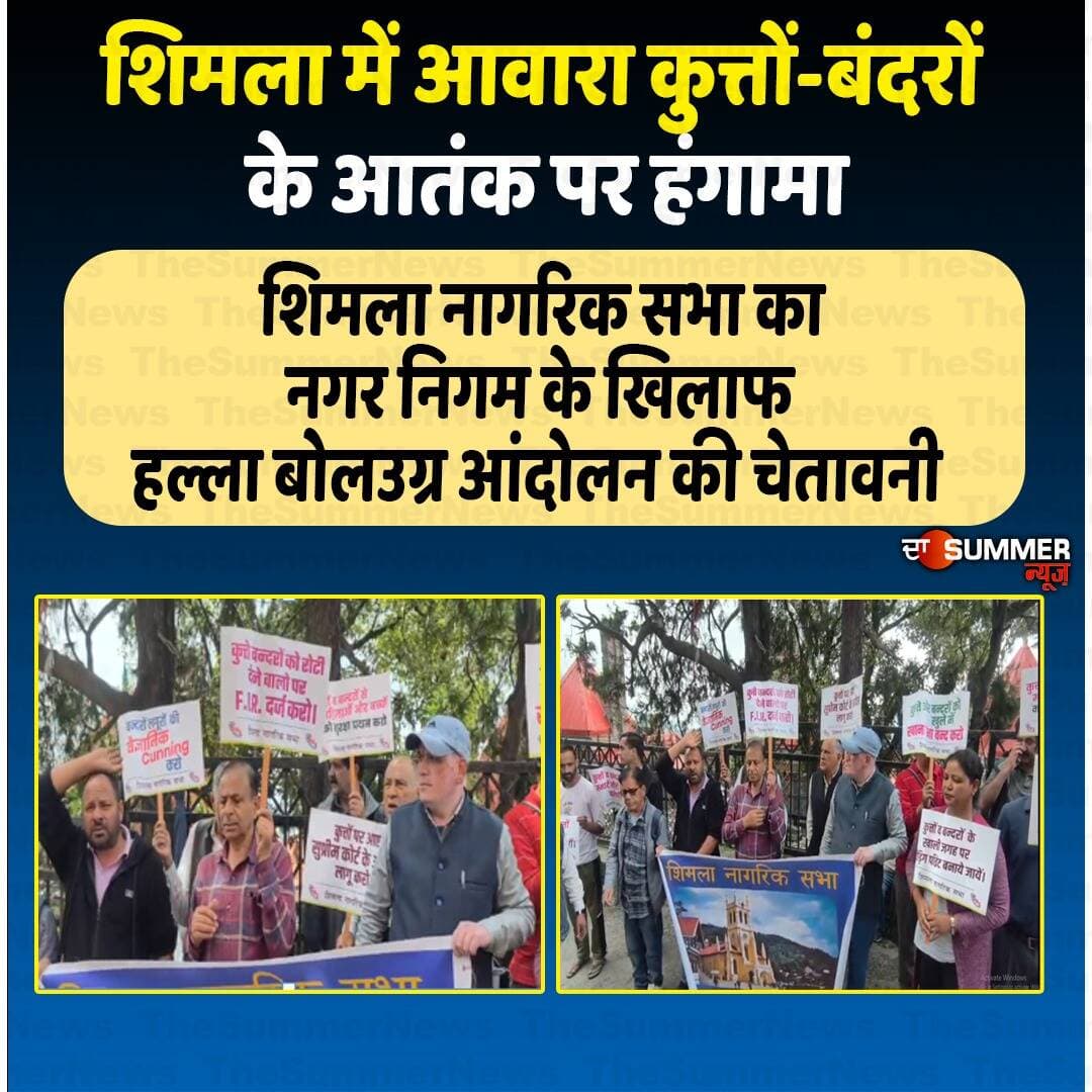 शिमला में आवारा कुत्तों-बंदरों के आ. तं. क पर हंगामा