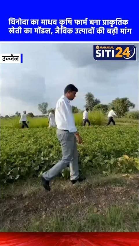उज्जैन: ग्राम घिनोदा का 'माधव कृषि फार्म' बना प्राकृतिक खेती की मिसाल, हाथों-हाथ बिक रहे जैविक उत्पाद 🌾🚜
मुख्यमंत्री जन विश्वास अभियान के तहत उज्जैन कलेक्टर रौशन कुमार सिंह और एसपी प्रदीप शर्मा सहित अन्य प्रशासनिक अधिकारियों ने खाचरौद विकासखंड के ग्राम घिनोदा स्थित 'माधव कृषि फार्म' का निरीक्षण किया। यहां किसान गिरधारी पाटीदार द्वारा ‘मानव स्वस्थ, भूमि स्वस्थ, वातावरण स्वस्थ’ की अवधारणा पर प्राकृतिक और जैविक खेती की जा रही है। किसान की इस अभिनव पहल के चलते खेत से ही जैविक उत्पाद हाथों-हाथ बिक रहे हैं, जिसके लिए उन्होंने अपना एक जैविक मार्ट भी शुरू किया है। रसायनों से मुक्त और कम लागत वाली यह टिकाऊ खेती क्षेत्र के अन्य किसानों के लिए एक बड़ी प्रेरणा बन गई है।
#UjjainNews #OrganicFarming #KhachrodNews #NaturalFarming #siti24ujjain
