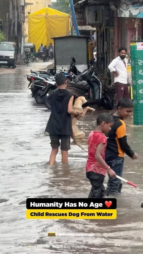 ❤️🐕 A small hero with a very big heart!
Seeing a dog struggling in water, this child stepped in to help and brought it to safety. This simple act of kindness towards a helpless animal is enough to remind us that humanity has no age. 🙏
Not all heroes wear capes—some simply choose to help. ❤️
(Child Rescues Dog, Dog Rescue, Animal Rescue, Humanity, Act of Kindness, Little Hero, Heartwarming Moment, Dog Saved, Animal Lover, Kindness Matters, Humanity Is Alive, Rescue Story, Helping Animals, Inspiring Video, Viral Rescue)
#Humanity #DogRescue #LittleHero #AnimalRescue #KindnessMatters