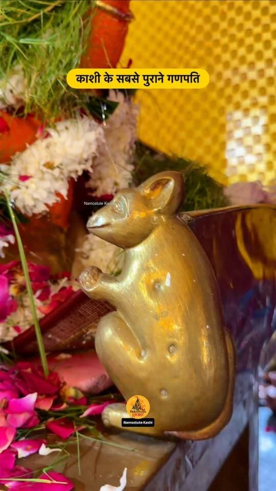 बनारस के सबसे पुरानी गणपति बप्पा
Follow for more updates Namostute Kashi | Varanasi | Banaras
#Varanasi #GaneshChaturthi #NamostuteKashi #GanpatiFestival #Oldest