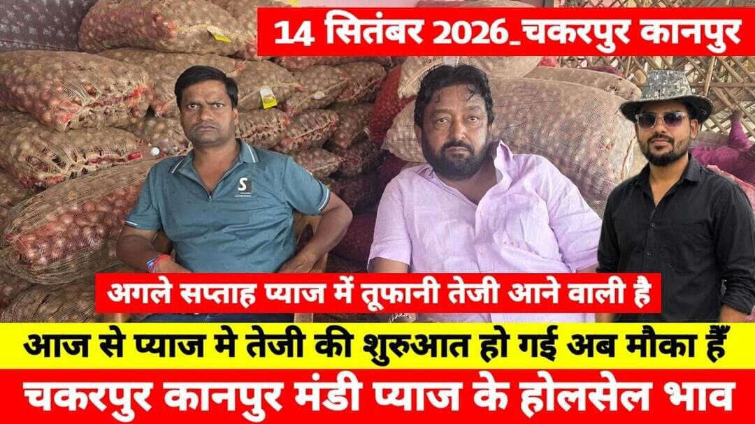 14 September 2026कानपुर प्याज के भावonion report kanpur #onionmarket kanpur onionmarket price #onion