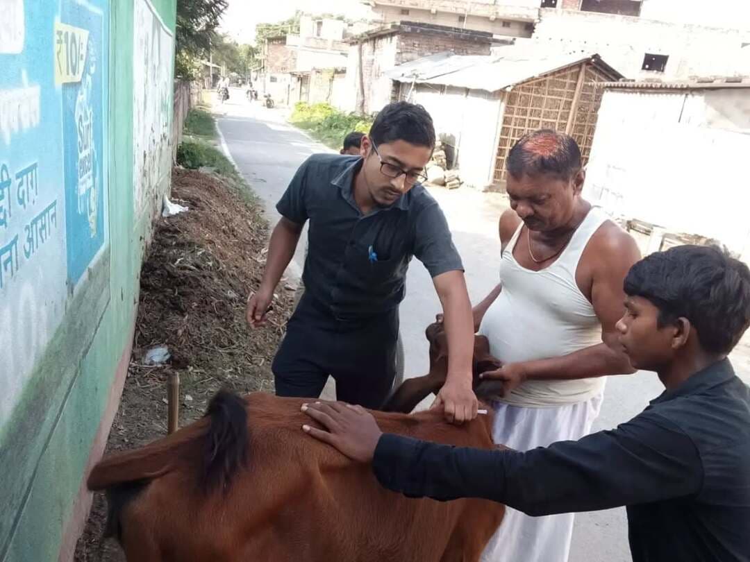 समाहरणालय पूर्णिया,
जनसंपर्क कार्यालय,
प्रेस विज्ञप्ति:- 1368,
दिनांक:-14/9/2026,
==================
रुपौली प्रखंड के बाढ़ एवं जलजमाव क्षेत्रों में जिला प्रशासन मुस्तैद;-
श्री अंशुल कुमार भा०प्र०से० जिला पदाधिकारी पूर्णिया के निर्देश पर राहत एवं बचाव कार्य युद्धस्तर पर है जारी:--
इसी कड़ी में सोमवार को रुपौली प्रखंड अंतर्गत बाढ़ एवं जलजमाव से प्रभावित पशुपालकों के घर डोर टू डोर जाकर पशु चिकित्सकों द्वारा जरुरत मंद पशुओं के स्वास्थ्य की जांच कर आवश्यक दवाइयां सुलभ कराई जा रही है। वरीय अधिकारियों की टीम लगातार ग्राउंड जीरो पर तैनात रहकर स्थिति का जायजा ले रही है।
जिला स्तर पर 24×7 आपातकालीन नियंत्रण कक्ष सक्रिय है आपात स्थिति से निपटने और त्वरित समन्वय हेतु जिला आपातकालीन संचालन केंद्र (DEOC) 24 घंटे कार्यरत है।
नागरिक किसी भी सहायता या सूचना के लिए हेल्पलाइन नंबरों 06454-242319 / 242317 / 242320 या ईमेल deoc-purnea.bih@nic.in पर संपर्क कर सकते हैं।
प्रशासन की अपील:-
जिला प्रशासन ने आम जनता से अपील की है कि वे तेज बहाव और जलमग्न क्षेत्रों में जाने से बचें तथा किसी भी आपात स्थिति में तुरंत जिला नियंत्रण कक्ष को सूचित करें।