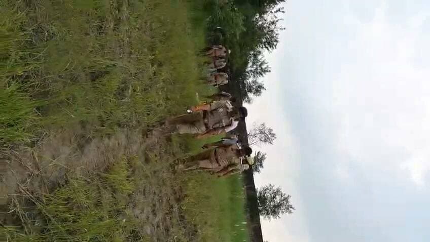 4चित्रकूट से इस वक्त की बड़ी खबर सामने आ रही है।
पहाड़ी थाना क्षेत्र के अशोह गांव में हुए भीषण विस्फोट के मामले में 5 घंटे से ज्यादा का समय बीत चुका है, लेकिन पुलिस के सामने अभी भी सबसे बड़ा सवाल यही है कि आखिर विस्फोट करने वाला व्यक्ति कौन था और मौके से मिले शव अथवा मानव अंग किसके हैं।
घटना के बाद से पुलिस लगातार मौके पर जांच-पड़ताल और तलाश में जुटी हुई है, लेकिन अभी तक मृतक की पहचान को लेकर कोई ठोस जानकारी सामने नहीं आई है।
मौके पर करीब चार थानों की पुलिस फोर्स तैनात है। इसके साथ ही चित्रकूट पुलिस अधीक्षक अरुण कुमार सिंह, अपर पुलिस अधीक्षक और सीओ राजापुर सहित पुलिस के वरिष्ठ अधिकारी घटनास्थल पर मौजूद हैं।
विस्फोट इतना भीषण था कि जमीन में बड़ा गड्ढा बन गया और आसपास के क्षेत्र में भी हड़कंप मच गया। मौके से मानव अंग मिलने के बाद पुलिस के सामने यह चुनौती और बढ़ गई है कि आखिर यह घटना कैसे हुई और इसमें शामिल व्यक्ति कौन था।
फिलहाल पुलिस की जांच जारी है और घटनास्थल को सुरक्षित रखते हुए हर पहलू से जांच की जा रही है।
अब सबसे बड़ा सवाल यही है—आखिर वह व्यक्ति कौन था, जिसने यहां विस्फोट किया और मौके पर उसकी मौत कैसे हुई?
पुलिस की जांच और विशेषज्ञ टीमों की रिपोर्ट के बाद ही पूरे मामले से पर्दा उठने की उम्मीद है।