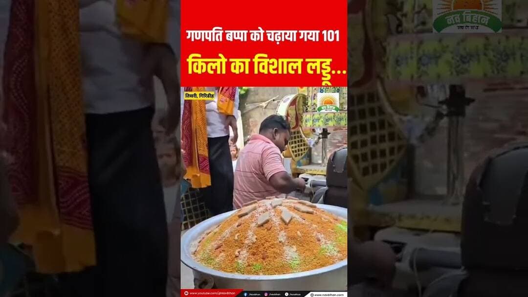 गणपति बप्पा को चढ़ाया गया 101 किलो का विशाल लड्डू #ganpati #viral #viralshorts #navbihan