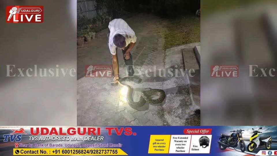 ◾এইবাৰ ওদালগুৰি চহৰত ওলাল অজগৰ সাপ
◾ৰেল ষ্টেচনৰ সমীপত উদ্ধাৰ অজগৰ।
◾অজগৰ দালৰ দৈৰ্ঘ্য প্ৰায় ৮ ফুট