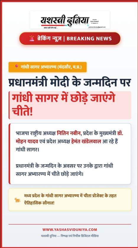ब्रेकिंग
देश के प्रधानमंत्री नरेंद्र मोदी के जन्मदिन के अवसर पर भाजपा राष्ट्रीय अध्यक्ष नितिन नबीन और प्रदेश के मुख्यमंत्री डॉ मोहन यादव एवं प्रदेश अध्यक्ष हेमंत खंडेलवाल गांधी सागर आ रहे हे प्रधानमंत्री के जन्मदिन के अवसर पर उनके द्वारा गांधी सागर अभ्यारण में चीते छोड जाएंगे ।