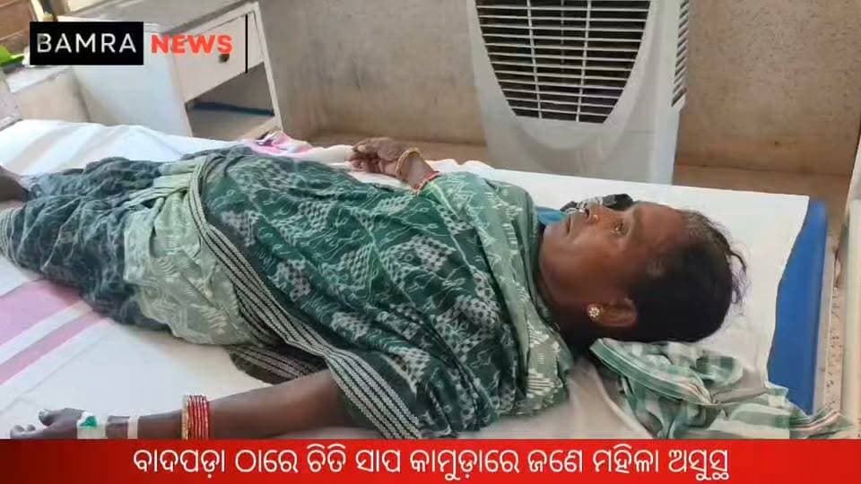 ବାମରା ବ୍ଲକ ବାଦପଡ଼ା ଠାରେ ଚିତି ସାପ କାମୁଡାରେ ଜଣେ ମହିଳା ଅସୁସ୍ଥ
#SnakeBite #ChitiSnake #SnakeRescue #Bamra #Badpada #Govindpur #Sambalpur #SnakebiteCase #OdishaNews #BamraNews #LocalNews #BreakingNews #HealthNews #SnakeAlert