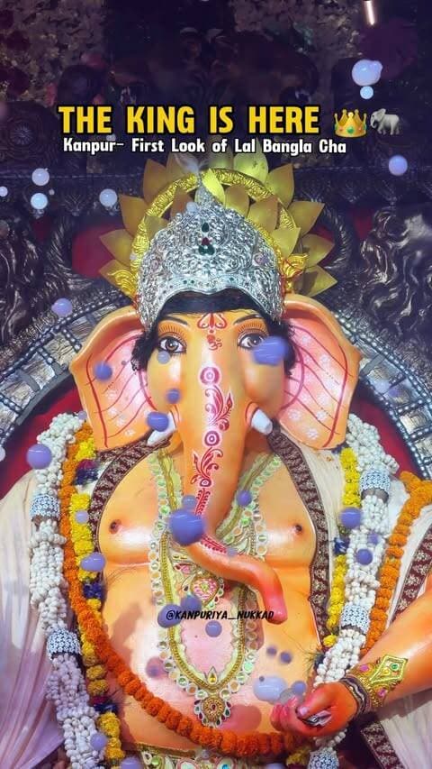 कानपुर के लाल बंगला के राजा का भव्य प्रथम दर्शन 👑🐘✨
बप्पा के दिव्य और शाही स्वरूप की पहली झलक ने भक्तों का दिल जीत लिया। 🙏❤️
इस गणेश चतुर्थी पर लाल बंगला में सजेगा भक्ति, आस्था और उत्सव का भव्य रंग। 🌺✨
गणपति बप्पा मोरया! 🙏🐘
#LalBanglaChaRaja #GanpatiBappaMorya #GaneshChaturthi #Kanpur #FirstLook KanpuriyaNukkad