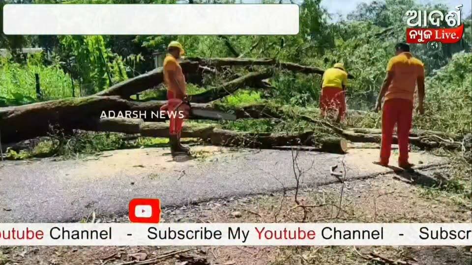 #ବର୍ଷାରେ_ଉପୁଡ଼ିଲା_ଗଛ_ଅବରୋଧ_ହେଲା_ରାସ୍ତା
ଲଗାଣ ବର୍ଷା ଯୋଗୁଁ ମାଲକାନଗିରି ଜିଲ୍ଲା ପଡ଼ିଆ ଅଞ୍ଚଳର ବିଭିନ୍ନ ଗ୍ରାମକୁ ସଂଯୋଗ କରୁଥିବା ମୁଖ୍ୟ ରାସ୍ତା ଉପରେ ବଡ଼ ବଡ଼ ଗଛ ଉପୁଡ଼ି ପଡ଼ିଥିଲା। ଫଳରେ ଯାତାୟାତ ବ୍ୟାହତ ହୋଇଥିବା ବେଳେ ପଡ଼ିଆ ଅଗ୍ନିଶମ ବାହିନୀ ଘଟଣାସ୍ଥଳରେ ପହଞ୍ଚି ଗଛ କାଟି ରାସ୍ତାକୁ ସ୍ୱାଭାବିକ କରିଛି।