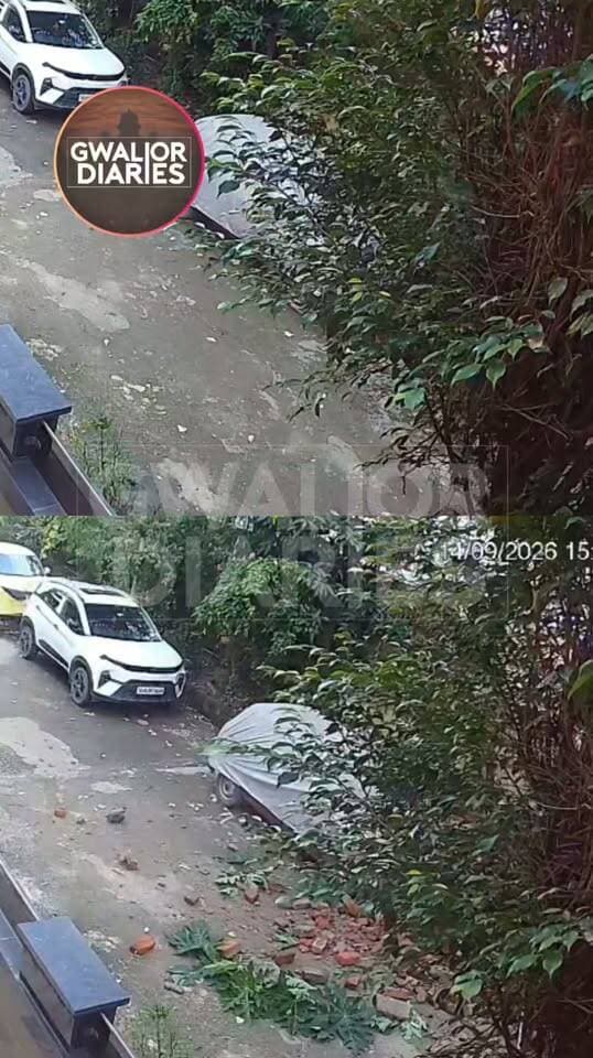 पेड़ की छंटाई बनी 70 वर्षीय माली की मौत की वजह, दीवार ढही और मलबे में दब गईं सावित्री देवी...