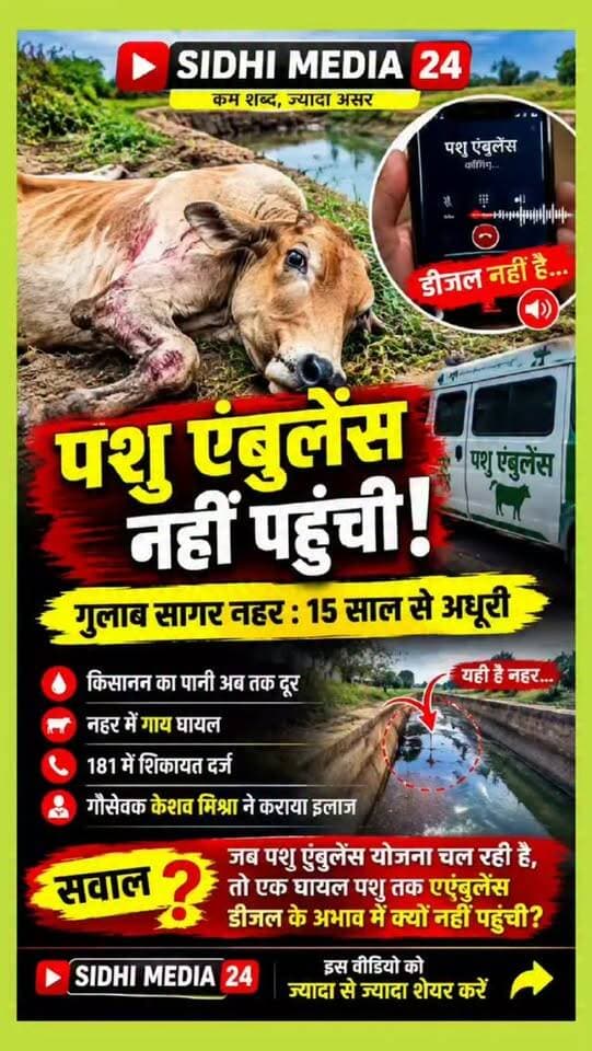 🚨 Animal Ambulance पर बड़ा सवाल! डीजल नहीं था, तो घायल गाय का इलाज कैसे होता?
📝 Description
गुलाब सागर नहर परियोजना लंबे समय से अधूरी है और अब इसी नहर में एक गाय के घायल होने का मामला सामने आया है। ग्रामीणों के अनुसार गाय को नहर से निकालकर मदद के लिए पशु एंबुलेंस से संपर्क किया गया, लेकिन कथित बातचीत में डीजल उपलब्ध नहीं होने की बात सामने आई। इसके बाद ग्रामीणों ने 181 पर शिकायत भी दर्ज कराई। बाद में गौसेवक केशव मिश्रा के सहयोग से गाय का उपचार कराया गया। इस पूरे मामले ने पशु एंबुलेंस सेवा की व्यवस्था और मौके पर मदद पहुंचने को लेकर सवाल खड़े कर दिए हैं। क्या पशु एंबुलेंस जैसी योजना में ईंधन की वजह से सेवा रुकना चिंता का विषय नहीं है? आपकी राय क्या है? 👇
Hashtags
#SidhiMedia24 #GulabSagarNahar #PashuAmbulance #AnimalAmbulance #GauSeva