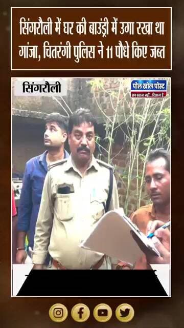 बाउंड्री के भीतर चल रही थी गांजे की खेती, एक आरोपी गिरफ्तार