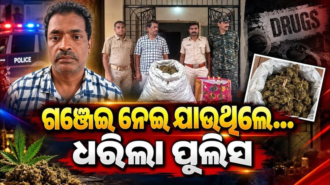 ଗଞ୍ଜେଇ ନେଇ ଯାଉଥିଲେ… ଧରିଲା ପୁଲିସ || 21.3 Kg Ganja Seized in Koraput