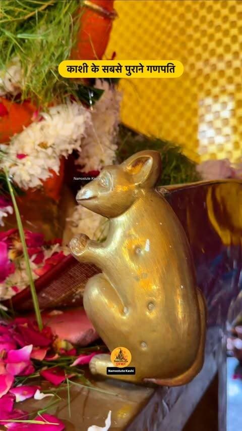 बनारस के सबसे पुरानी गणपति बप्पा
Follow for more updates @namostutekashi
#Varanasi #GaneshChaturthi #NamostuteKashi #GanpatiFestival #Oldest