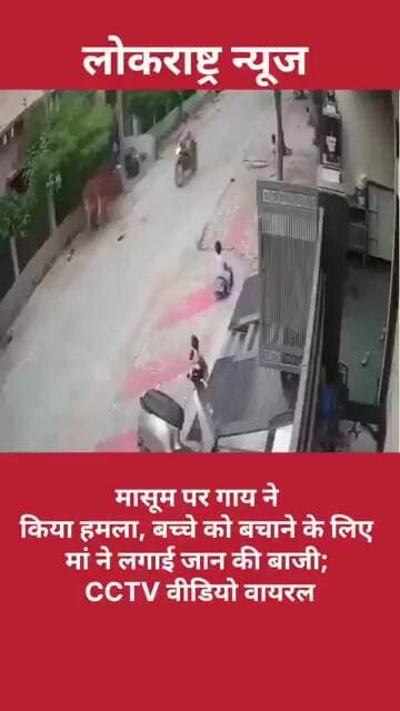 राजस्थान में 3 साल के मासूम पर आवारा गाय का जानलेवा हमला, बचाने दौड़ी मां भी घायल