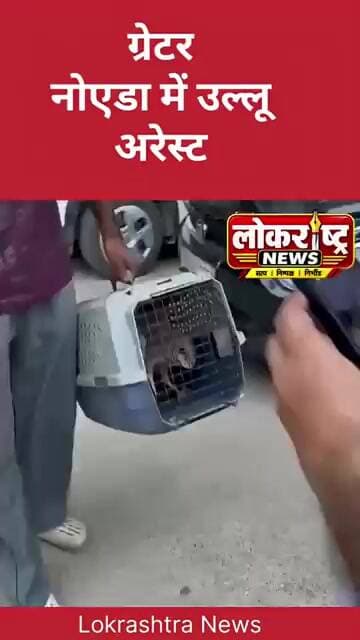 ग्रेटर नोएडा में उल्लू अरेस्ट