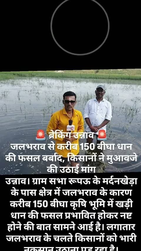 🚨 ब्रेकिंग उन्नाव 🚨
जलभराव से करीब 150 बीघा धान की फसल बर्बाद, किसानों ने मुआवजे की उठाई मांग
उन्नाव। ग्राम सभा रूपऊ के मर्दनखेड़ा के पास क्षेत्र में जलभराव के कारण करीब 150 बीघा कृषि भूमि में खड़ी धान की फसल प्रभावित होकर नष्ट होने की बात सामने आई है। वहीं ग्राम सभा मजखोरिया क्षेत्र में भी जलभराव की समस्या से किसानों को परेशानियों का सामना करना पड़ रहा है।
लगातार खेतों में पानी भरे रहने से धान की फसल को भारी नुकसान पहुंचने की बात किसान बता रहे हैं। किसानों का कहना है कि बड़ी मुश्किल से खाद, बीज और अन्य कृषि सामग्री की व्यवस्था कर खेतों में फसल तैयार की जाती है, लेकिन जलभराव के कारण उनकी महीनों की मेहनत बर्बाद होने के कगार पर है।
फसल खराब होने से किसानों के सामने आर्थिक संकट खड़ा हो गया है। किसानों ने जिला प्रशासन से मांग की है कि मौके पर टीम भेजकर फसल क्षति का स्थलीय निरीक्षण एवं आकलन कराया जाए और नियमानुसार प्रभावित किसानों को उचित मुआवजा