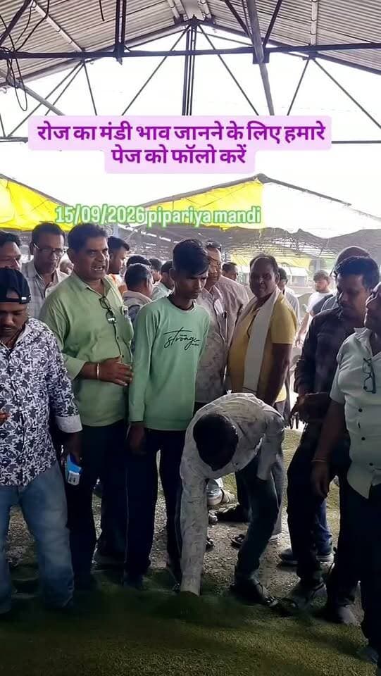 आज का मंडी भाव #mandi #bhav #moong