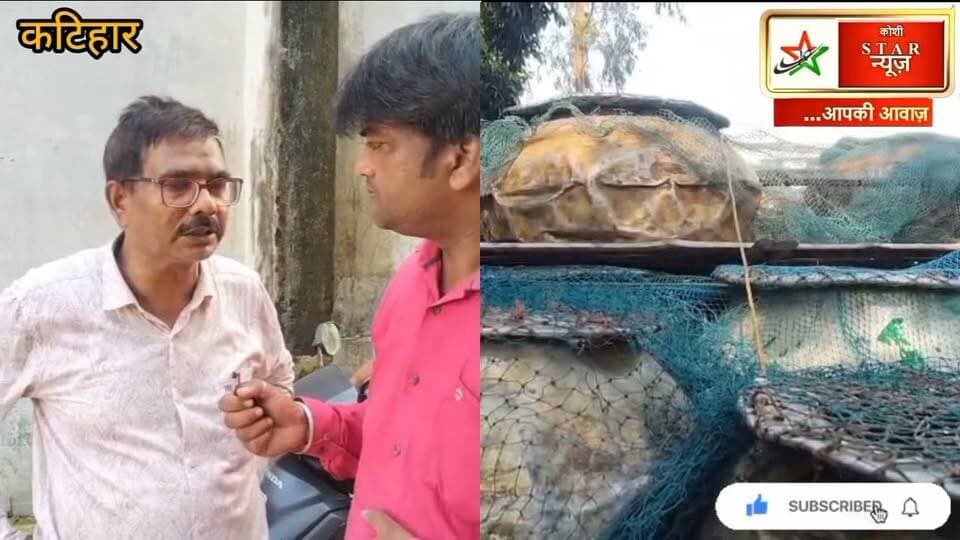 मांगुर का काला कारोबार, 50 कुंटल मछली जब्त, 3 कारोबारी डिटेन… थाना मैनेज करने का दावा