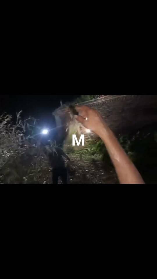 पिपरपाती गांव में गंगा के जलस्तर में कमी होते ही कटाव का मंजर हुआ भयावह घर गिरने का आया लाइव तस्वीर