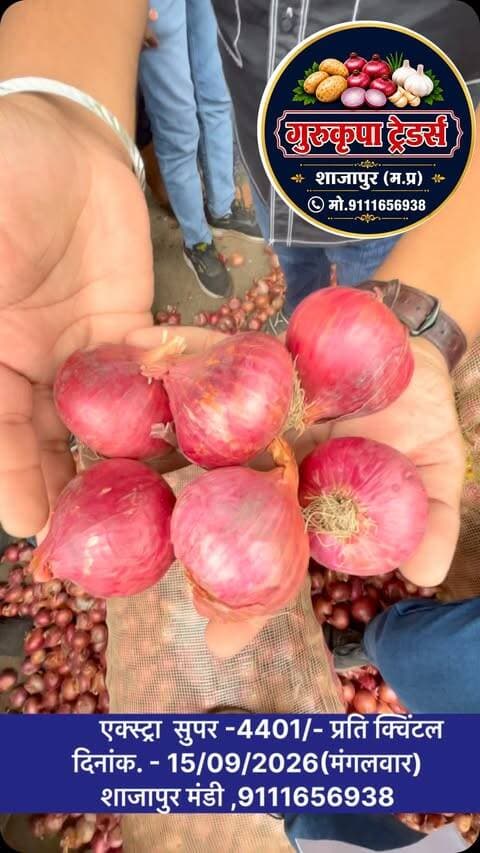 #onion#indoremandibhav#shajapurmandibhav#aajakabhav