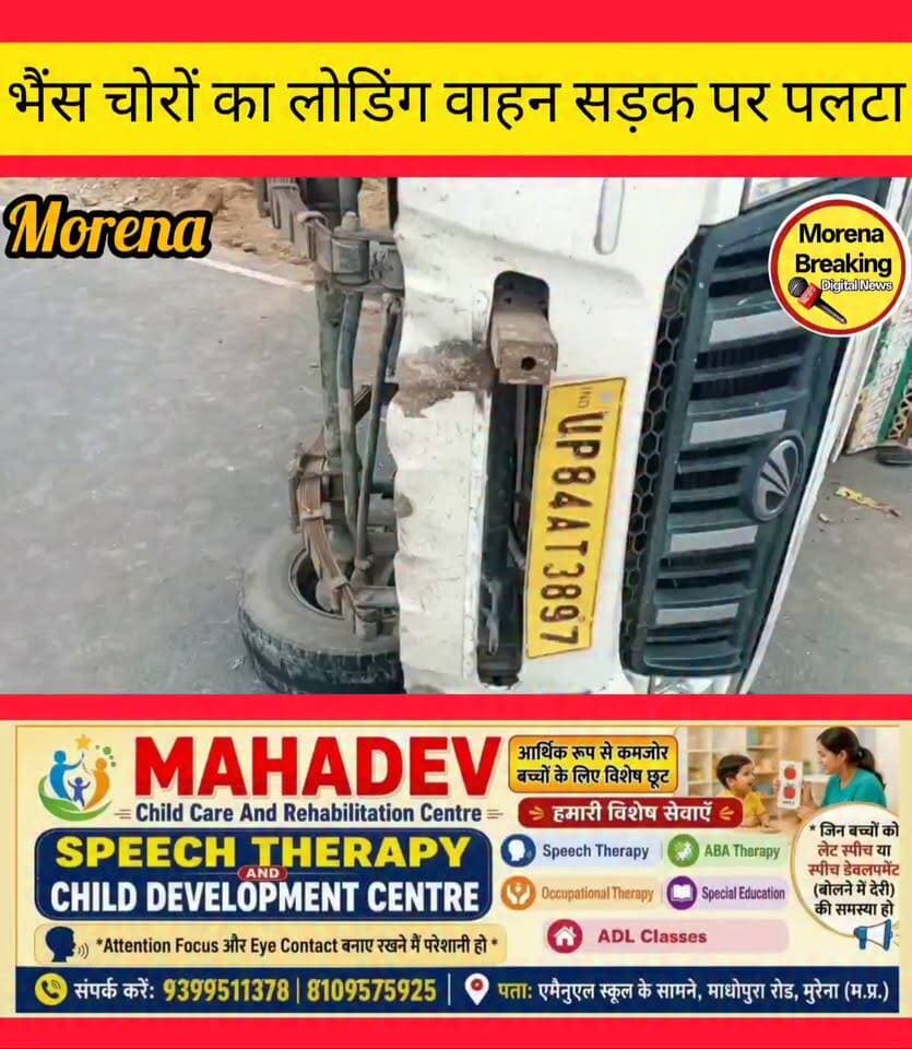 मुरैना/ भैंस चोरी करके ले जा रहे चोरों का लोडिंग वाहन सड़क पर अनियंत्रित होकर पलट गया और चोर मौके का फायदा उठाकर अंधेरे में भाग गए, पुलिस पूरे मामले की जांच में जुटी 👇 Morena Breaking Collector Office Morena SP Morena Ravi Annana Morena Dinesh Gurjar MLA Mla Dinesh Gurjar रामचित्र सिंह गुर्जर महाना जितेन्द्र गुर्जर