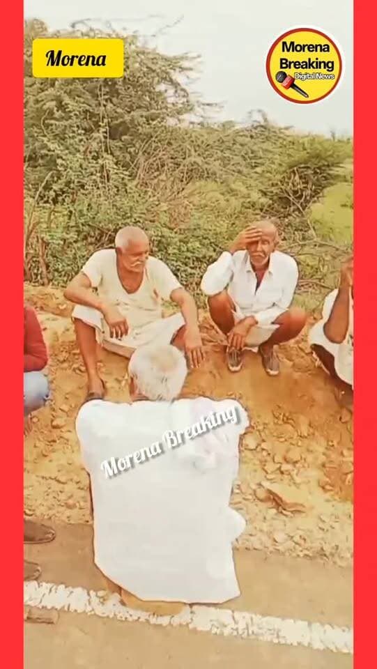 मुरैना/ भैंसों को चोरी करके ले जा रहे चोरों की बोलोरो पिकअप वाहन अनियंत्रित होकर पलटा , चोर मौके से भागे
