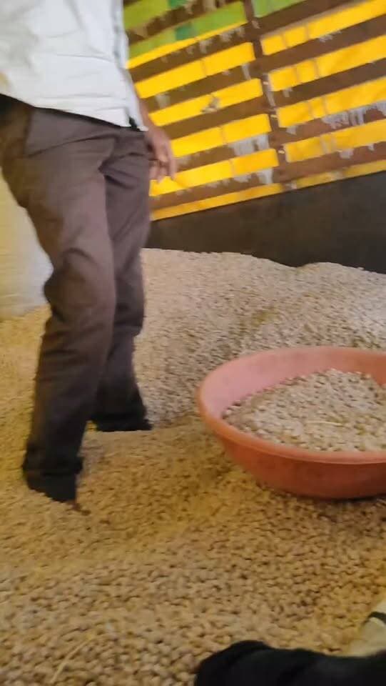 डॉलर चना के भाव में तेजी बरकरार, आज धामनोद मंडी में डॉलर चना का भाव इस प्रकार रहा...
आज डॉलर चना ऊपर में 8600 रुपए तक बिका, अच्छी क्वालिटी के माल ज्यादा आवक...
15 सितंबर 2026
Dhamnod Mandi Bhav
.
.
.
.
.
.
.
.
.
.
.
.
.
.
.
.
.
#dhamnodmandibhav #dollarchanarates #dollarchanakabhav #mandinews #dollarchanamandibhav