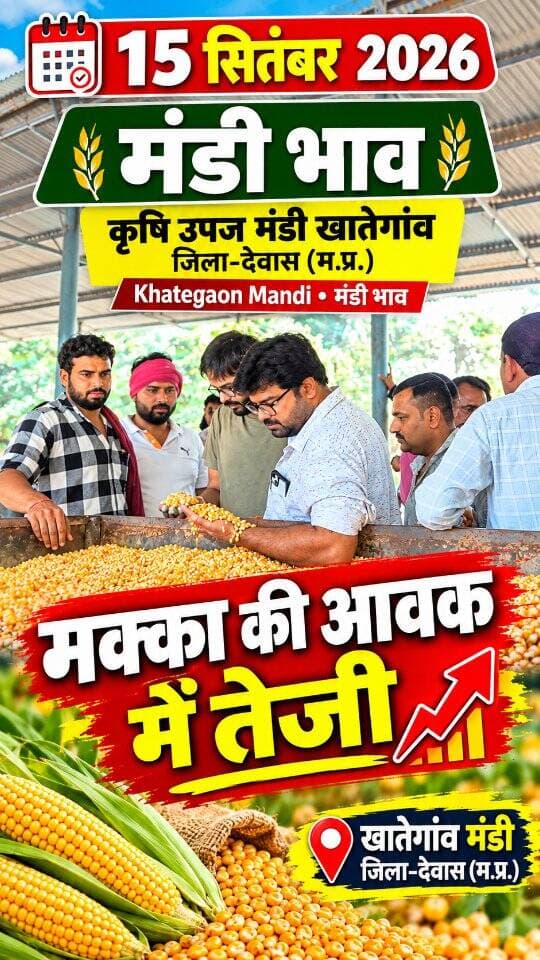 15 सितंबर 2026 | मंडी भाव | कृषि उपज मंडी खातेगांव, जिला-देवास (म.प्र.) Khategaon Mandi • मंडी भाव khategaonwaale.com