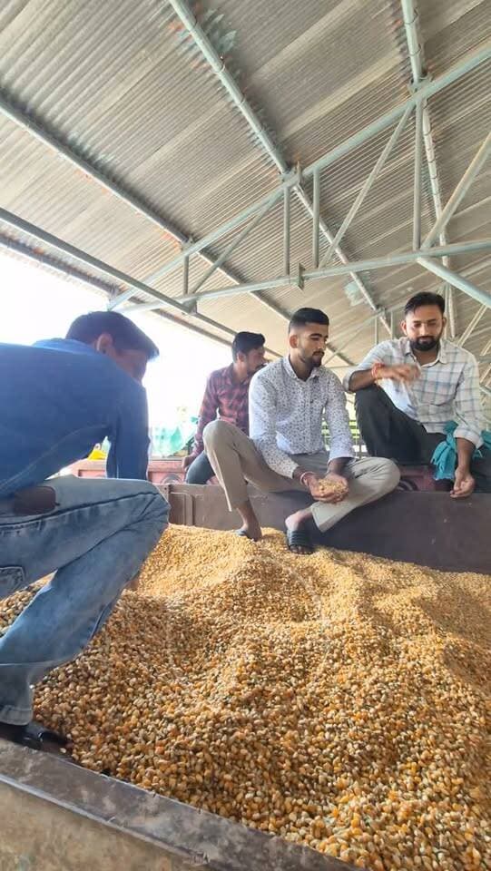 15 सितंबर 2026 | मंडी भाव | कृषि उपज मंडी खातेगांव, जिला-देवास (म.प्र.) Khategaon Mandi • मंडी भाव
