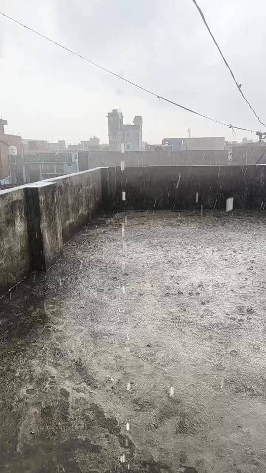 🌧️ LIVE: बारिश में भीगा दरभंगा नगर निगम क्षेत्र! देखिए शहर में बारिश का LIVE नज़ारा