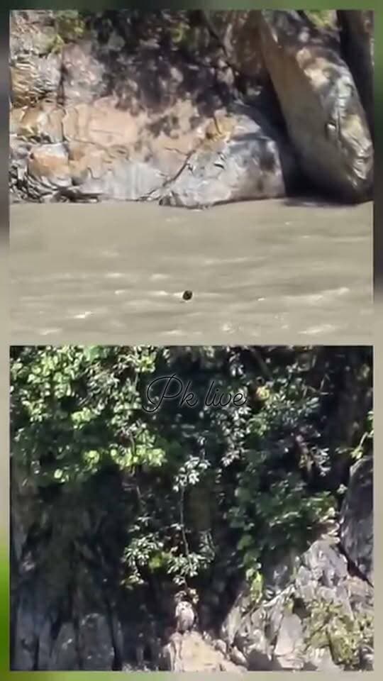कर्णप्रयाग मे पोखरी पुल के पास से व्यक्ति ने नदी में छलांगा मार दी, जिससे वह बह गया और अभी भी लापता है। जिसकी तलाश जारी है। अलकनंदा नदी के तट पर पुलिस द्वारा सर्च ऑपरेशन शुरू कर दिया गया है। लापता व्यक्ति की तलाश जारी है।