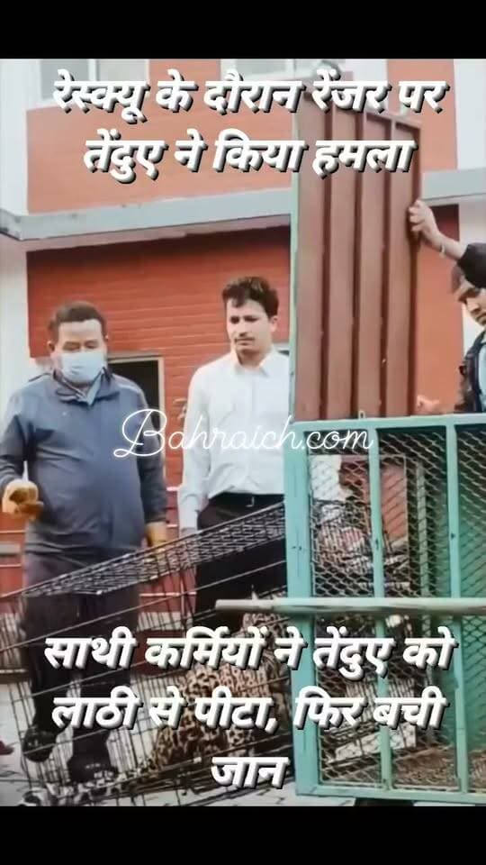 तेंदुए ने फॉरेस्ट रेंजर पर किया ह'मला, हमले के बाद तेंदुआ हुआ फरार, इलाके में दहशत, रेंजर हुआ घायल,
तेंदुए को पकड़ने के लिए अभियान तेज कर दिया है।
#Nepal #Lamjung #Leopard #LeopardAttack #ForestRanger #Wildlife #RescueOperation #NepalNews #BreakingNews #ViralNews #NewsUpdate #तेंदुआ #नेपाल #वनविभाग #रेस्क्यू #हमला #indo Nepal Live #IndoNepal #NewsUpdate #tiger