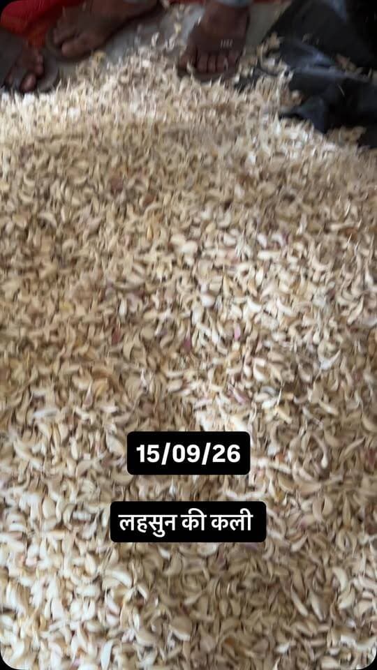 #viralreels #viralreelsvideo #trending #reelkarofeelkaro #mandibhavkalapipal