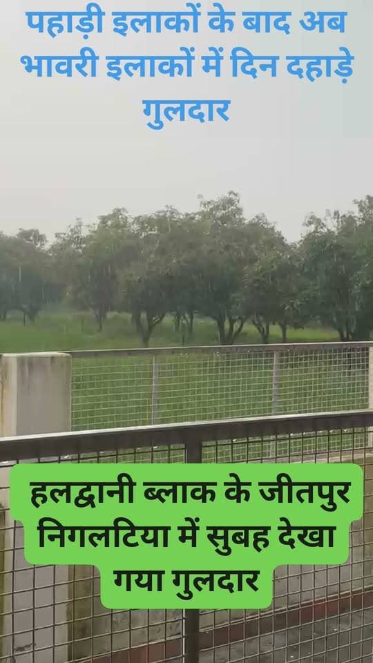 हलद्वानी के जीतपुर निगलटिया में आज सुबेरे घर के बिल्कुल नजदीक दिखा गुलदार #गुलदार #भावर #haldwani
