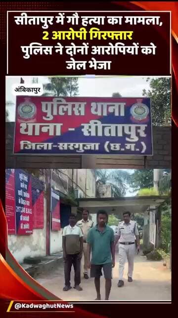 गौ हत्या मामले में 2 आरोपी गिरफ्तार, 3 फरार; पुलिस ने गौ मांस और टांगी की बरामद #Ambikapur #Sitapur