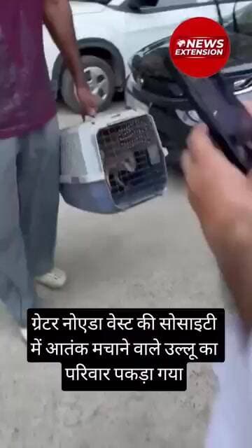 ग्रेटर नोएडा वेस्ट की सोसाइटी में आतंक मचाने वाले उल्लू का परिवार पकड़ा गया