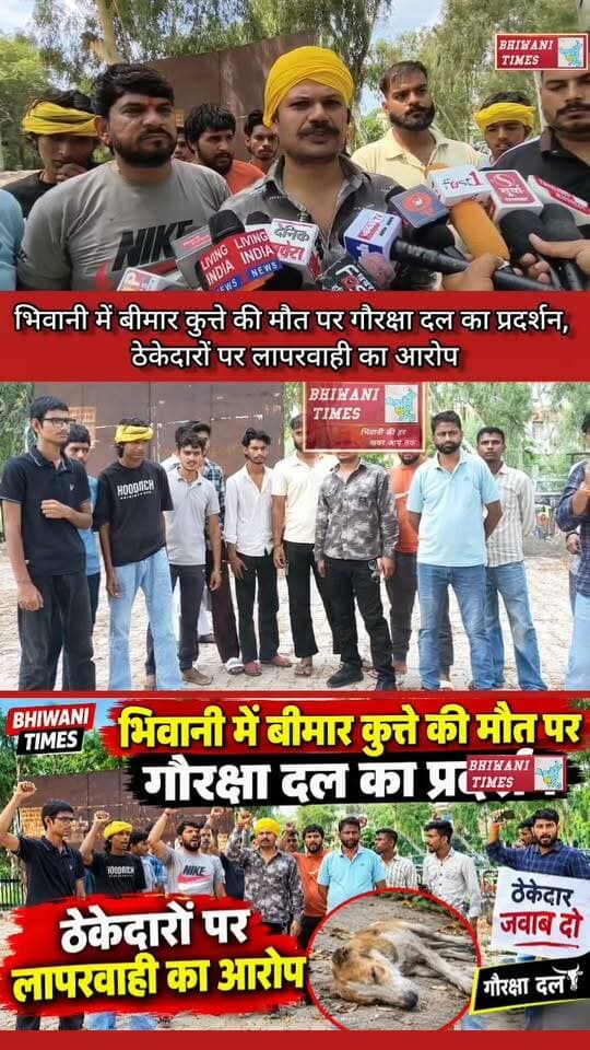 भिवानी में बीमार कुत्ते की मौत पर गौरक्षा दल का प्रदर्शन, ठेकेदारों पर लापरवाही का आरोप