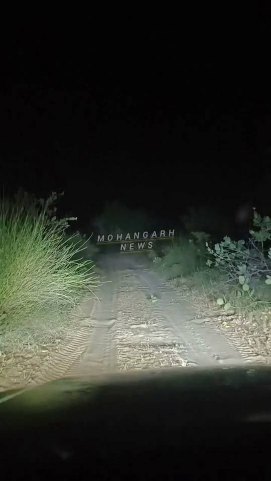 कानोद माइनर पर उगी झाड़ियों से किसान परेशान.....
#jaisalmer #barmer #Bikaner