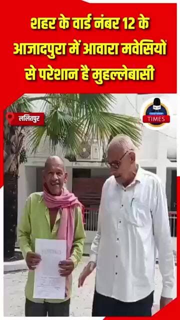 ललितपुर ब्रेकिंगशहर के वार्ड नंबर 12 के आजादपुरा में आवारा मवेसियों से परेशान है