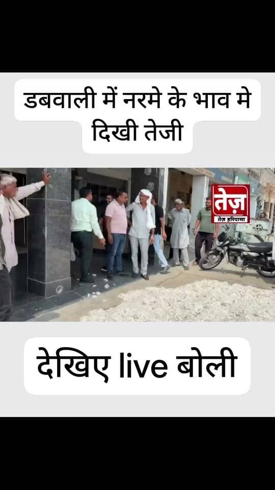 डबवाली मंडी में नरमे के भाव मे दिखी तेजी