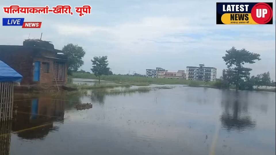 अपराधियों को कैद करने वाले पुलिसकर्मियों को बाढ़ के पानी ने किया कैद
-बाढ़ के पानी से चारों ओर घिरा पुलिस का महिला थाना
-अग्निशमन और महाविद्यालय के भी चारों ओर भरा दो से तीन फीट बाढ़ का पनी।
#paliakalankheri
#lakhimpurkherinews
#LatestNews
#UPNews
#dmkheri
#paliaflood
#CMYogiAdityanath