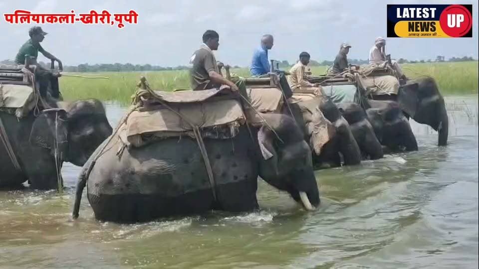 नेपाल नदियों की बाढ़ के पानी से भारत के दर्जनों गांव जलमग्न, दुधवा जंगल में भी भरा पानी
-दूसरे दिन भी दुधवा गौरीफंटा रोड पर बंद रहा छोटे वाहनों का आवागमन
#paliakalankheri
#lakhimpurkherinews
#LatestNews
#paliaflood
#dmkheri
#CMYogiAdityanath