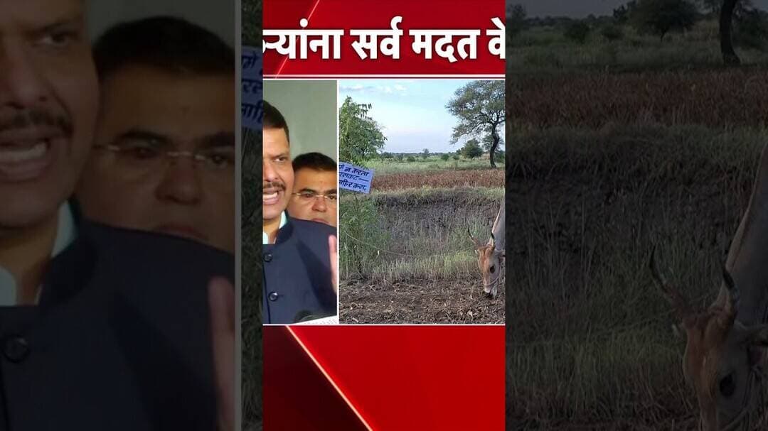 Devendra Fadnavis | राज्य मंत्रिमंडळ बैठकीत चर्चा कशावर मुख्यमंत्र्यांनी दिली माहिती