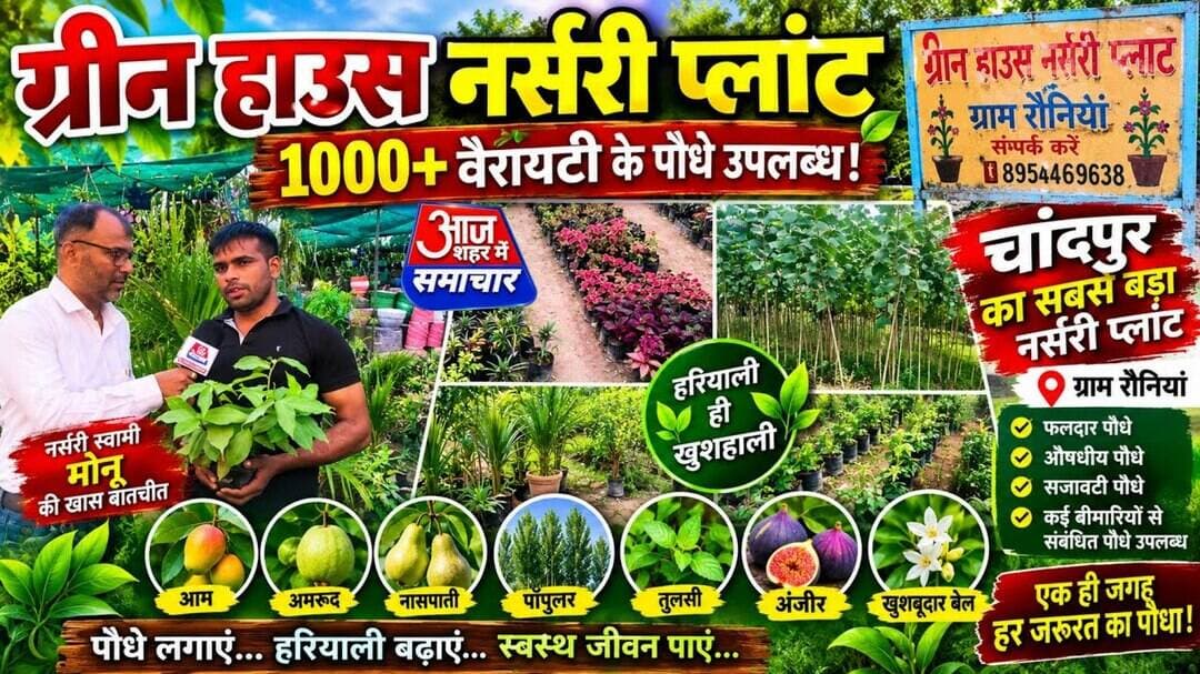 1000+ वैरायटी के पौधे!चांदपुर में ग्रीन हाउस नर्सरी प्लांट में पौधों का खजाना#asm_news