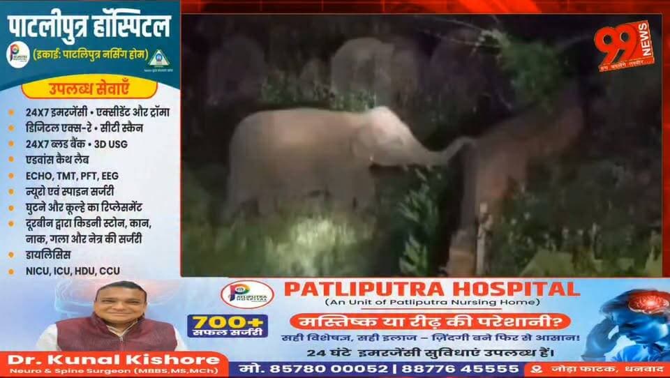 #टुंडी में 35 #हाथियों का #तांडव, #दर्जनों घरों में #तोड़फोड़, #हाथियों का #बुजुर्ग पर #हमला