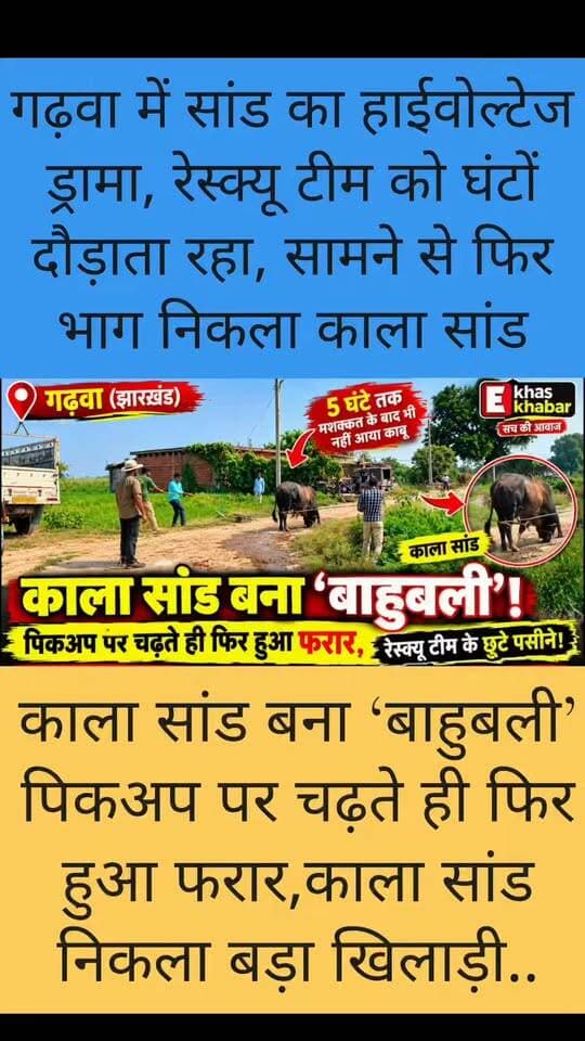 काला सांड बना ‘बाहुबली’! 5 घंटे तक रेस्क्यू टीम को दौड़ाता रहा, पिकअप पर चढ़ते ही फिर हुआ फरार।
#Garhwa #GarhwaNews #GarhwaJharkhand #JharkhandNews #BreakingNews #BigNews #LatestNews #ViralNews