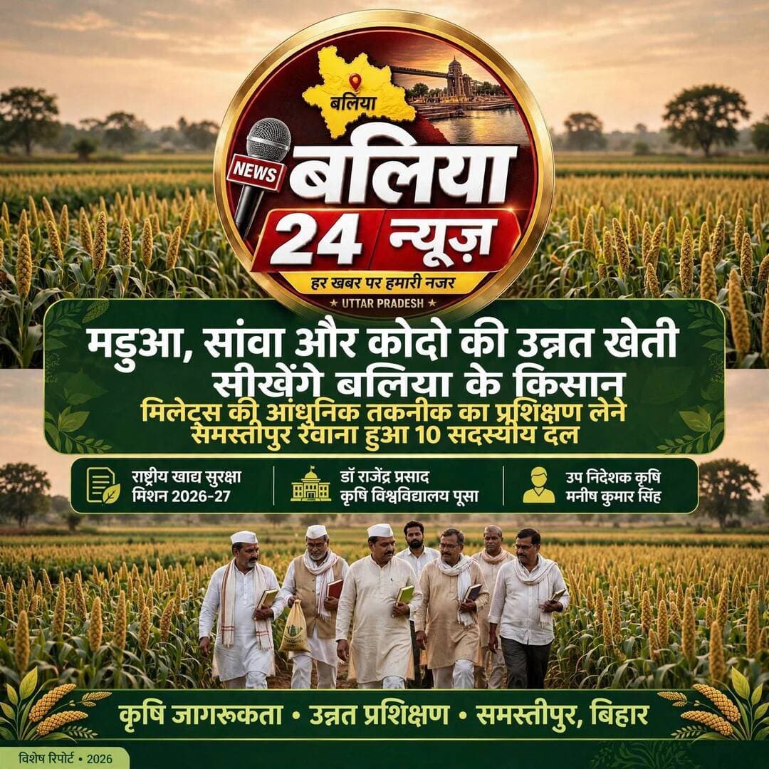 #मड़ुआ, सांवा और कोदो की उन्नत खेती सीखेंगे बलिया के किसान
#मिलेट्स की आधुनिक तकनीक का प्रशिक्षण लेने समस्तीपुर रवाना हुआ 10 सदस्यीय दल
बलिया,बलिया,15सितंबर। राष्ट्रीय खाद्य सुरक्षा एवं पोषण मिशन 2026-27 के न्यूट्री सीरियल घटक के तहत जिले के किसानों को मिलेट्स की खेती, उत्पादन एवं प्रसंस्करण की उन्नत तकनीक का प्रशिक्षण दिलाने के लिए किसानों का 10 सदस्यीय दल बिहार के समस्तीपुर स्थित डॉ. राजेंद्र प्रसाद केंद्रीय कृषि विश्वविद्यालय, पूसा के लिए रवाना हुआ।
उत्तर प्रदेश मिलेट्स पुनरोद्धार कार्यक्रम के अंतर्गत आयोजित इस प्रशिक्षण में किसानों को मड़ुआ, सांवा, कोदो समेत अन्य मोटे अनाजों की वैज्ञानिक एवं उन्नत खेती की जानकारी दी जाएगी। साथ ही मिलेट्स के उत्पादन, प्रसंस्करण तथा उनसे विभिन्न पौष्टिक व्यंजन तैयार करने की विधि के बारे में भी प्रशिक्षित किया जाएगा।
उप निदेशक कृषि बलिया मनीष कुमार सिंह ने बस को हरी झंडी दिखाकर दल को रवाना किया। उन्होंने कहा कि मिलेट्स की खेती किसानों के लिए लाभकारी होने के साथ-साथ पोषण की दृष्टि से भी महत्वपूर्ण है। प्रशिक्षण से किसानों को आधुनिक तकनीक की जानकारी मिलेगी, जिससे वे अपने खेतों में मिलेट्स का बेहतर उत्पादन कर सकेंगे।
प्रशिक्षण के दौरान किसानों को भूमि की तैयारी, उन्नत प्रजातियों का चयन, बुवाई, सिंचाई, खरपतवार नियंत्रण, कीट एवं रोग प्रबंधन, फसल की कटाई और भंडारण की तकनीक की जानकारी दी जाएगी। इसके अलावा मिलेट्स के मूल्य संवर्धन और प्रसंस्करण के जरिए अतिरिक्त आय अर्जित करने के तरीकों से भी किसानों को अवगत कराया जाएगा।
कृषि विभाग का उद्देश्य किसानों को मोटे अनाजों की खेती के प्रति प्रोत्साहित करने के साथ ही मिलेट्स के उत्पादन और उपयोग को बढ़ावा देना है। प्रशिक्षण से लौटने के बाद किसान सीखी गई तकनीकों को अपने क्षेत्र के अन्य किसानों तक भी पहुंचाएंगे।