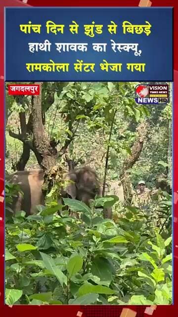पांच दिन से झुंड से बिछड़े हाथी शावक का रेस्क्यू, रामकोला सेंटर भेजा गया #viral #shorts