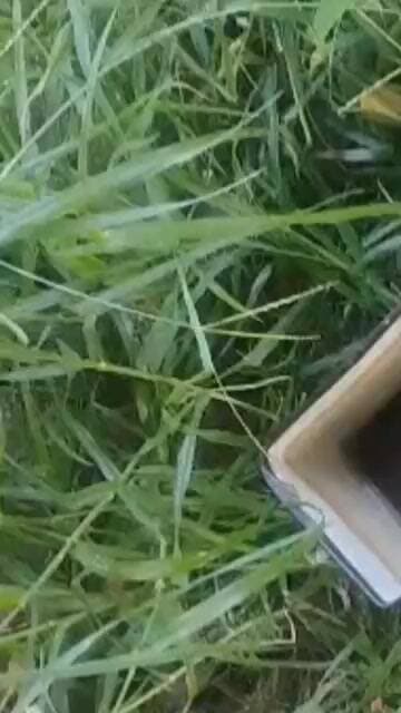 #चण्डौस के अमृतपुर में एक दर्जन किसानों के ट्यूबैलों से हुई चोरी, किसानों में रोष व्याप्त #chandaus